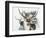 Axis Deer-Barbara Keith-Framed Giclee Print