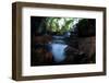 Axototl swimming in pond, Mexico-Alejandro Prieto-Framed Photographic Print