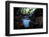 Axototl swimming in pond, Mexico-Alejandro Prieto-Framed Photographic Print