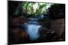 Axototl swimming in pond, Mexico-Alejandro Prieto-Mounted Photographic Print