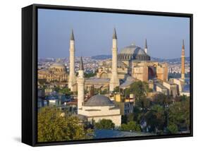 Aya Sofia, Sultanhamet, Istanbul, Turkey-Michele Falzone-Framed Stretched Canvas