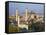 Aya Sofia, Sultanhamet, Istanbul, Turkey-Michele Falzone-Framed Stretched Canvas