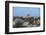 Aya Sofia-Guido Cozzi-Framed Photographic Print