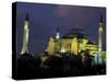 Aya Sofya (Sancta Sophia) at night, Istanbul, Turkey-Keren Su-Stretched Canvas