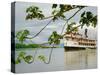 Ayapua Riverboat Making Way Up Amazon River at End of Earthwatch Expedition to Lago Preto, Peru-Paul Harris-Stretched Canvas