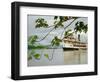 Ayapua Riverboat Making Way Up Amazon River at End of Earthwatch Expedition to Lago Preto, Peru-Paul Harris-Framed Photographic Print