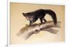 Aye-Aye, 1861-Joseph Wolf-Framed Giclee Print