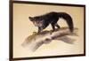 Aye-Aye, 1861-Joseph Wolf-Framed Giclee Print