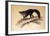 Aye-Aye, 1861-Joseph Wolf-Framed Giclee Print