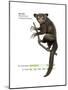 Aye-Aye (Daubentonia Madagascariensis), Primate, Mammals-Encyclopaedia Britannica-Mounted Poster