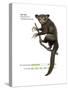 Aye-Aye (Daubentonia Madagascariensis), Primate, Mammals-Encyclopaedia Britannica-Stretched Canvas