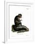 Aye-Aye-null-Framed Giclee Print