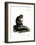 Aye-Aye-null-Framed Giclee Print