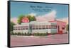 Ayer's Diner, North Salisbury, Maryland-null-Framed Stretched Canvas