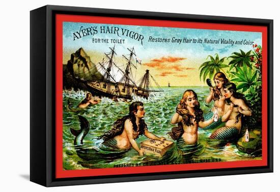 Ayer's Hair Vigor-null-Framed Stretched Canvas