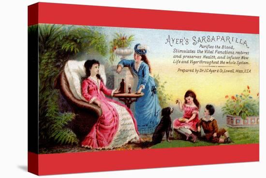 Ayer's Sarsaparilla Purifies The Blood-null-Stretched Canvas