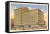 Ayers Building, Indianapolis-null-Framed Stretched Canvas