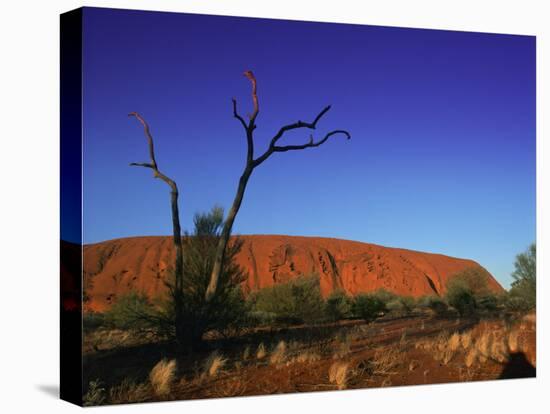 Ayers Rock at Sunrise, Uluru-Kata Tjuta National Park, Northern Territory, Australia, Pacific-Mawson Mark-Stretched Canvas