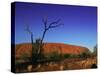 Ayers Rock at Sunrise, Uluru-Kata Tjuta National Park, Northern Territory, Australia, Pacific-Mawson Mark-Stretched Canvas