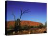 Ayers Rock at Sunrise, Uluru-Kata Tjuta National Park, Northern Territory, Australia, Pacific-Mawson Mark-Stretched Canvas