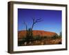 Ayers Rock at Sunrise, Uluru-Kata Tjuta National Park, Northern Territory, Australia, Pacific-Mawson Mark-Framed Premium Photographic Print