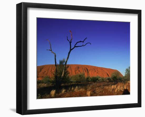 Ayers Rock at Sunrise, Uluru-Kata Tjuta National Park, Northern Territory, Australia, Pacific-Mawson Mark-Framed Premium Photographic Print