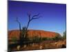 Ayers Rock at Sunrise, Uluru-Kata Tjuta National Park, Northern Territory, Australia, Pacific-Mawson Mark-Mounted Photographic Print
