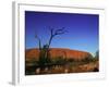 Ayers Rock at Sunrise, Uluru-Kata Tjuta National Park, Northern Territory, Australia, Pacific-Mawson Mark-Framed Photographic Print