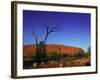 Ayers Rock at Sunrise, Uluru-Kata Tjuta National Park, Northern Territory, Australia, Pacific-Mawson Mark-Framed Photographic Print