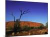 Ayers Rock at Sunrise, Uluru-Kata Tjuta National Park, Northern Territory, Australia, Pacific-Mawson Mark-Mounted Photographic Print