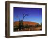 Ayers Rock at Sunrise, Uluru-Kata Tjuta National Park, Northern Territory, Australia, Pacific-Mawson Mark-Framed Photographic Print