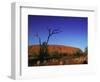 Ayers Rock at Sunrise, Uluru-Kata Tjuta National Park, Northern Territory, Australia, Pacific-Mawson Mark-Framed Photographic Print