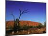 Ayers Rock at Sunrise, Uluru-Kata Tjuta National Park, Northern Territory, Australia, Pacific-Mawson Mark-Mounted Photographic Print