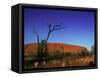 Ayers Rock at Sunrise, Uluru-Kata Tjuta National Park, Northern Territory, Australia, Pacific-Mawson Mark-Framed Stretched Canvas