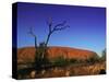 Ayers Rock at Sunrise, Uluru-Kata Tjuta National Park, Northern Territory, Australia, Pacific-Mawson Mark-Stretched Canvas