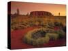 Ayers Rock, Northern Territory, Australia-Doug Pearson-Stretched Canvas