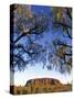 Ayers Rock, Northern Territory, Australia-Doug Pearson-Stretched Canvas