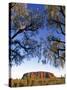 Ayers Rock, Northern Territory, Australia-Doug Pearson-Stretched Canvas