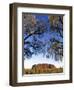 Ayers Rock, Northern Territory, Australia-Doug Pearson-Framed Photographic Print