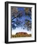 Ayers Rock, Northern Territory, Australia-Doug Pearson-Framed Photographic Print