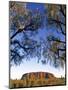 Ayers Rock, Northern Territory, Australia-Doug Pearson-Mounted Photographic Print
