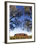 Ayers Rock, Northern Territory, Australia-Doug Pearson-Framed Photographic Print