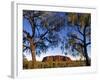 Ayers Rock, Northern Territory, Australia-Doug Pearson-Framed Photographic Print