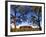 Ayers Rock, Northern Territory, Australia-Doug Pearson-Framed Photographic Print