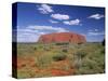 Ayers Rock, Northern Territory, Australia-Alan Copson-Stretched Canvas
