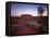 Ayers Rock, Uluru at Sunset-null-Framed Stretched Canvas