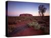 Ayers Rock, Uluru at Sunset-null-Stretched Canvas