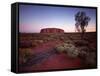 Ayers Rock, Uluru at Sunset-null-Framed Stretched Canvas