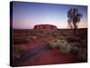 Ayers Rock, Uluru at Sunset-null-Stretched Canvas