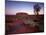 Ayers Rock, Uluru at Sunset-null-Mounted Photographic Print